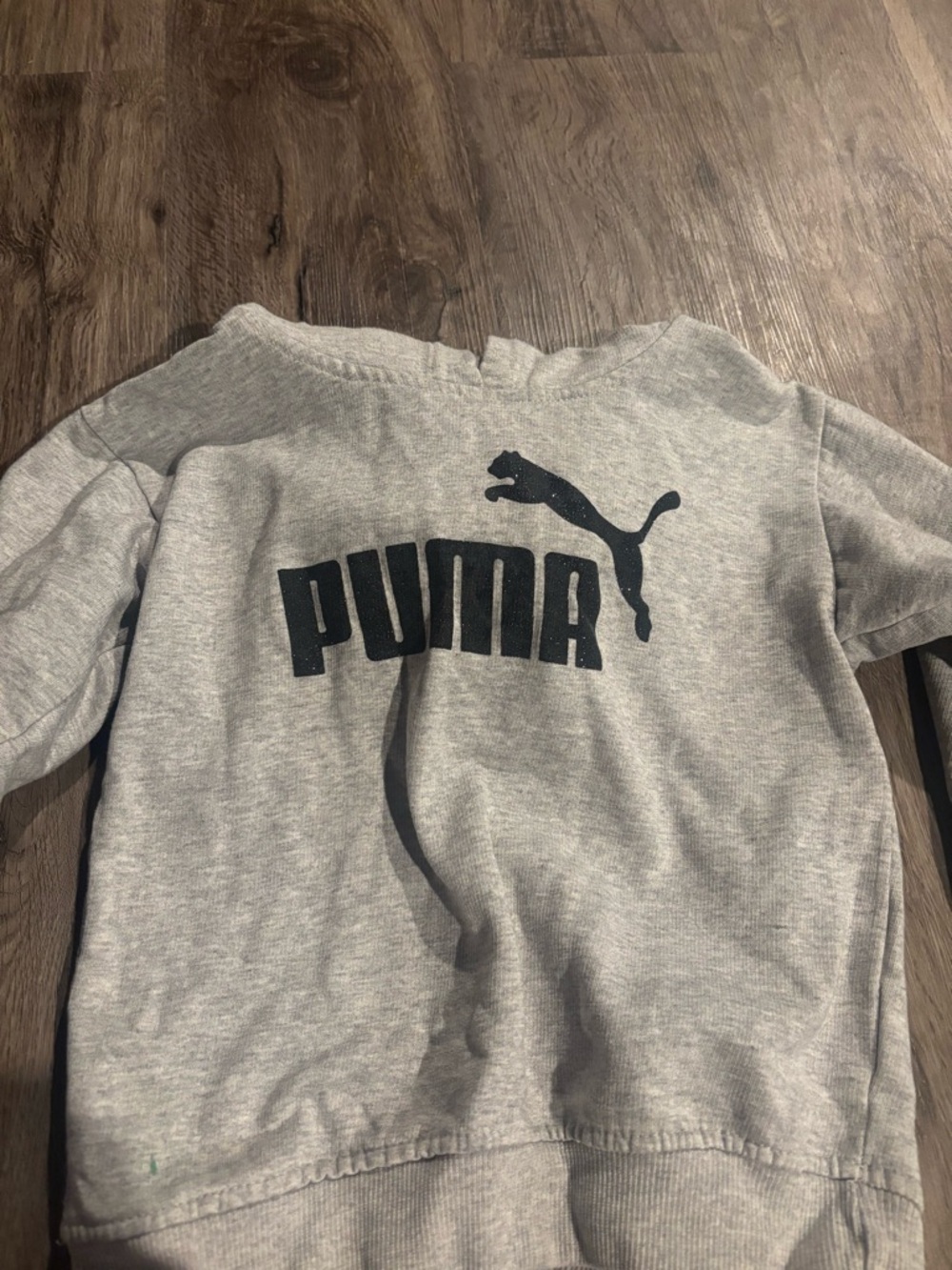 Puma Hoodie Kids